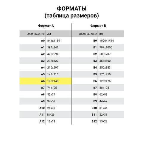 Сертификат о профилактических прививках (Форма № 156/у-93), 12 л., А6 95x140 мм, STAFF, 130253